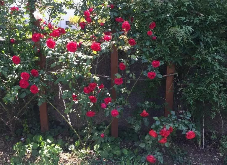 تختخواب و صبحانه Un Temps Pour Le Rêve