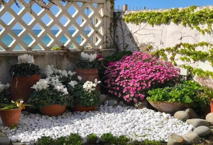 Il Giardino Sul Mare B&b