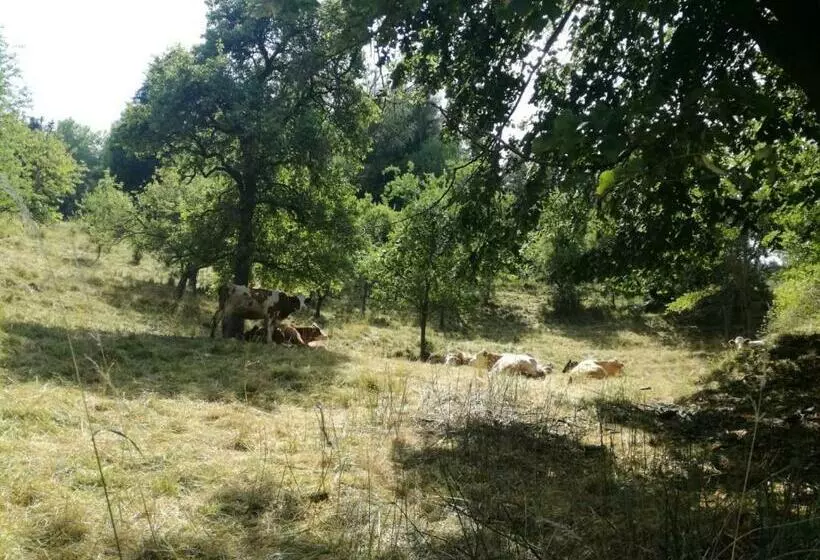 ペンション Privatzimmer Wagner