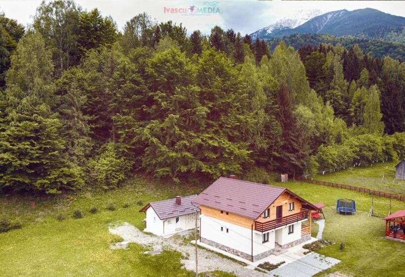 Pensiunea Floare De Colt