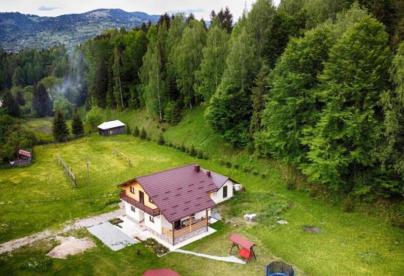 Pensiunea Floare De Colt