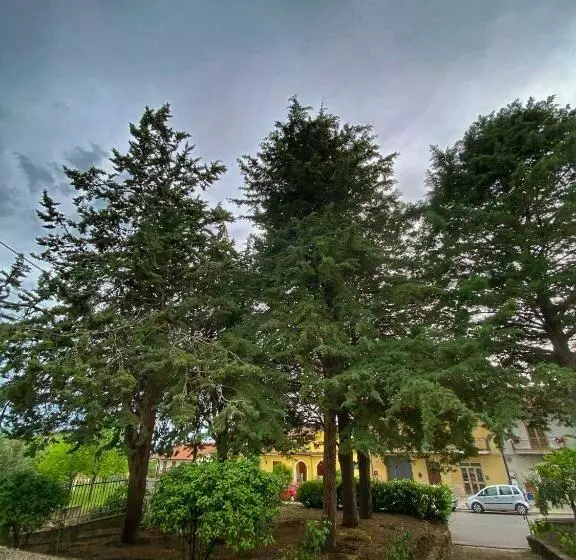 ベッドアンドブレックファースト La Casa Della Nonna