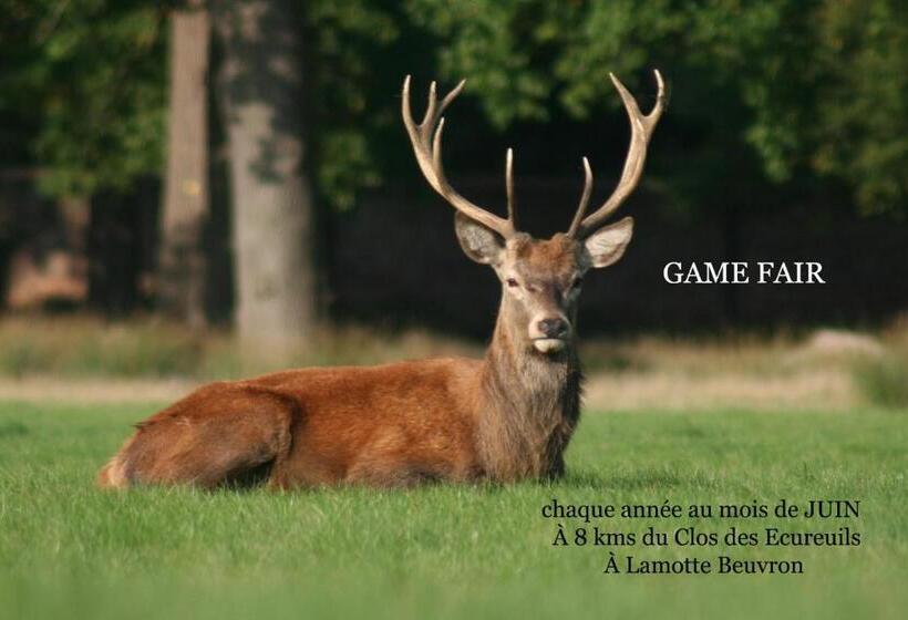 Bed & Breakfast Le Clos Des écureuils