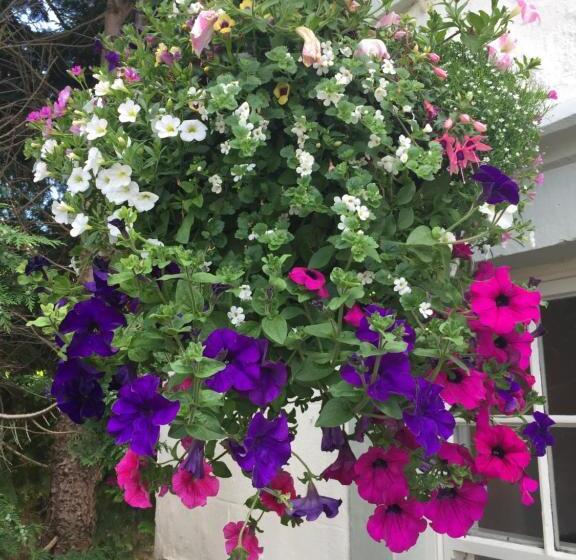 호텔 The Masons Arms