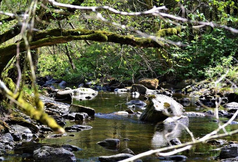 پانسیون Penthouse Lebierre