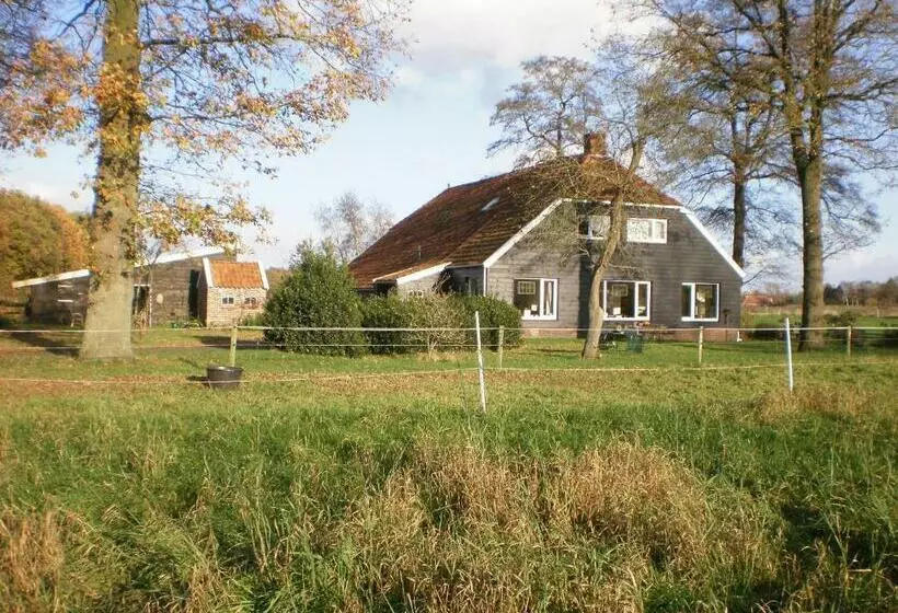 ベッドアンドブレックファースト Boerderijkamer Korenbloem