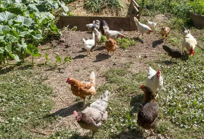 Aamiaismajoitus (B&B) Chambres D Hôtes Domaine Des Iris