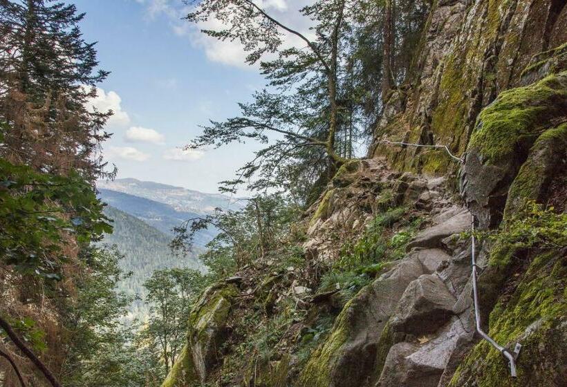 ベッドアンドブレックファースト Chambres D Hôtes Domaine Des Iris