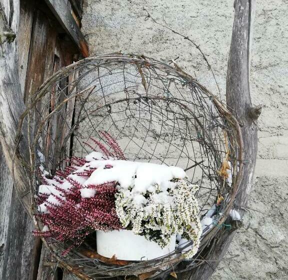 住宿加早餐 Zimmer Hinterwalderhof