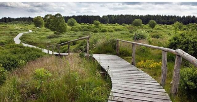 پانسیون Les Amoureux Du Vrai