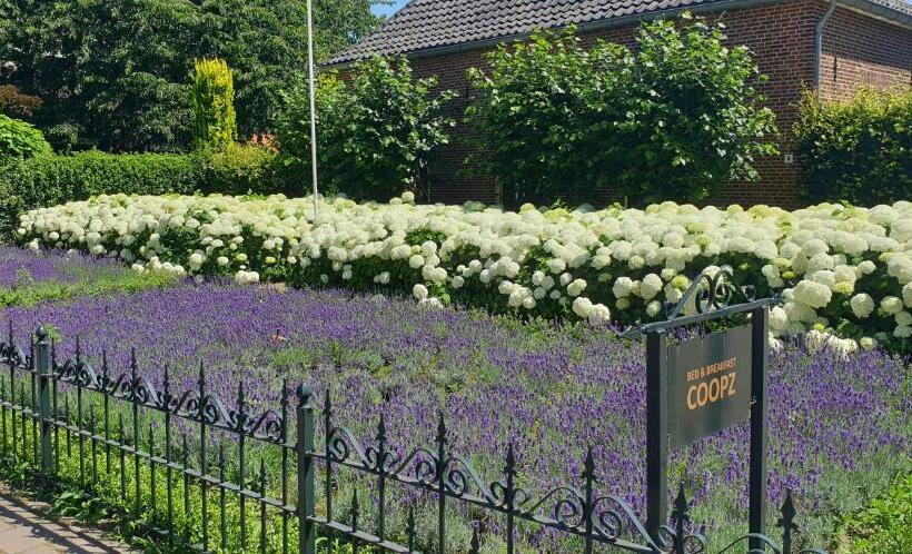 Bed & Breakfast Coopz