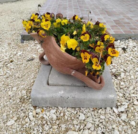 בית מלון כפרי Agriturismo  Le Serre