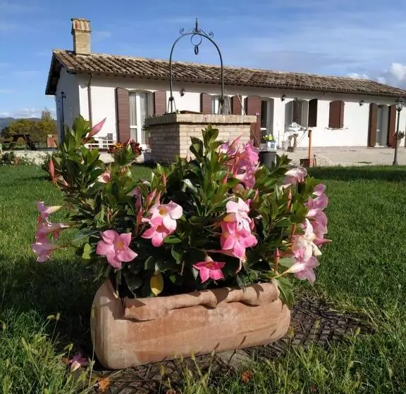 ホテル Agriturismo  Le Serre