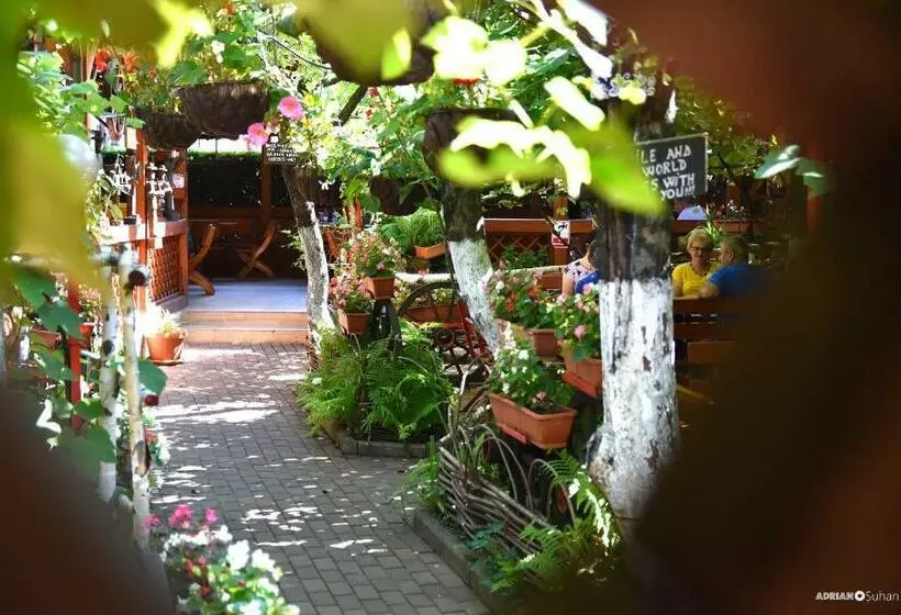 ペンション Carul Cu Flori