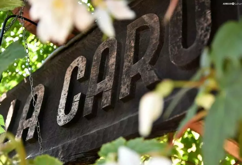 ペンション Carul Cu Flori