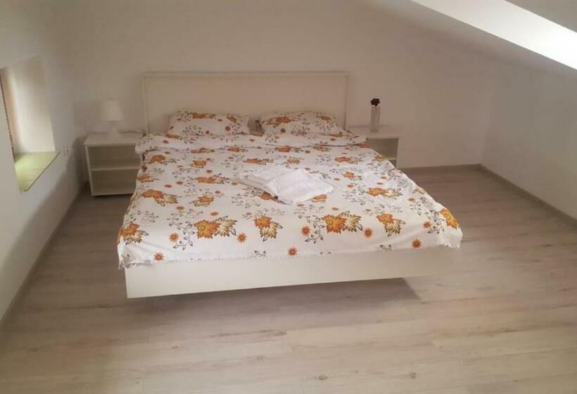 پانسیون Carul Cu Flori