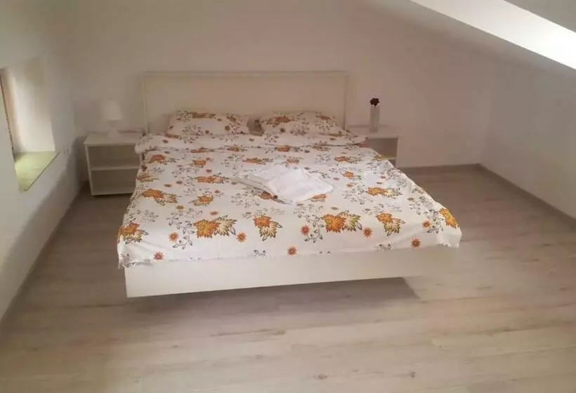 ペンション Carul Cu Flori