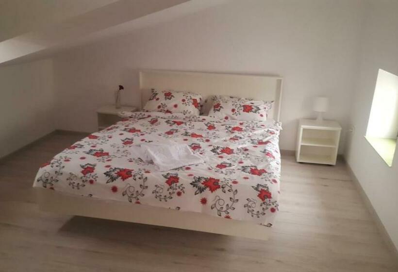 پانسیون Carul Cu Flori