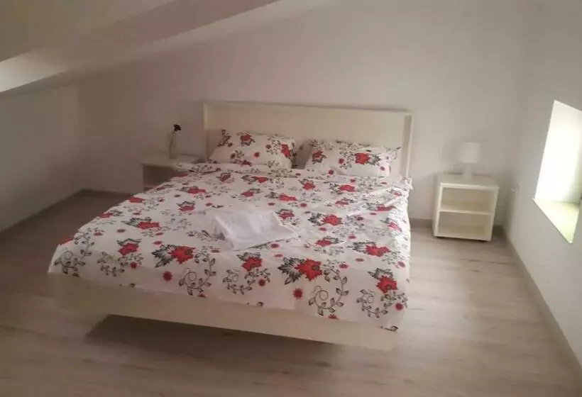 ペンション Carul Cu Flori