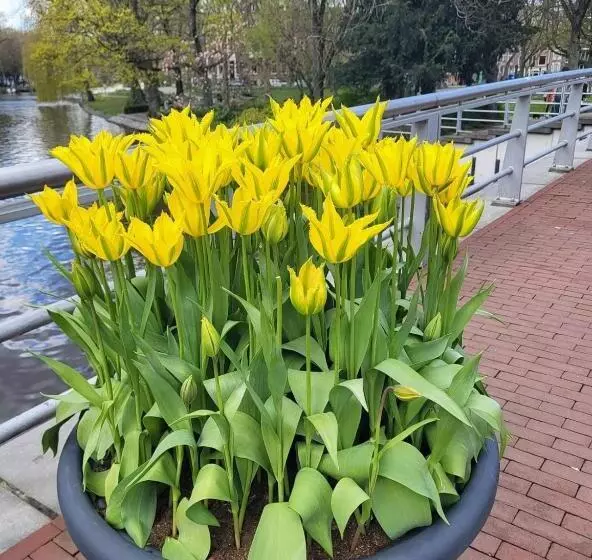 Majatalo B&b Landlust Guesthouse