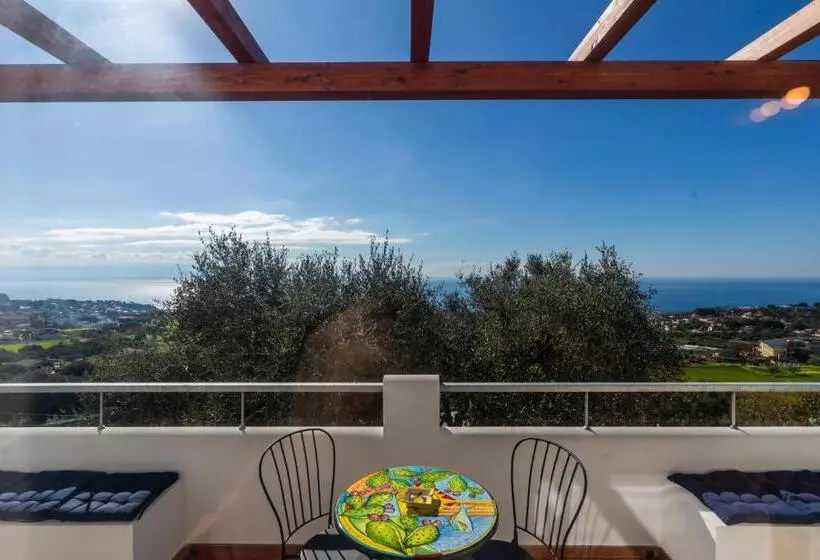 پانسیون The Olive Tree   Seaview Apartments