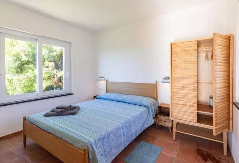 پانسیون The Olive Tree   Seaview Apartments