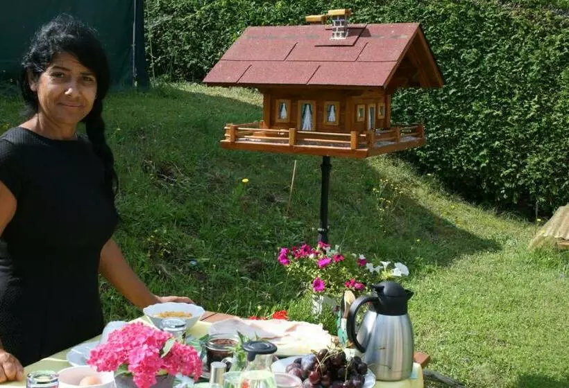 Pension Pock