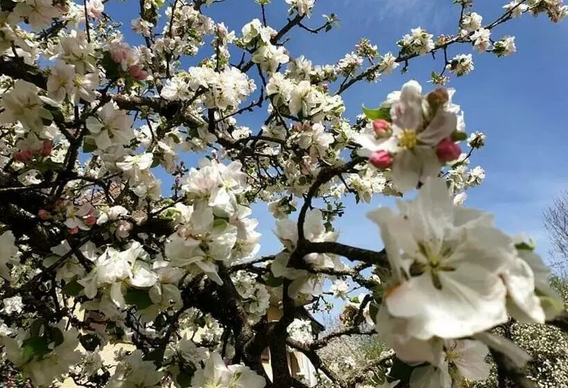 ホテル Domaine De Mont Renaud