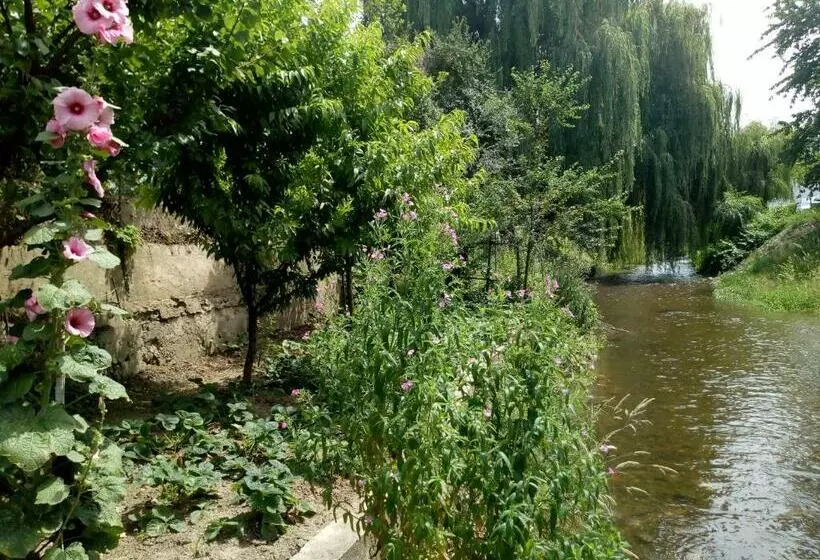 ペンション 2rivers