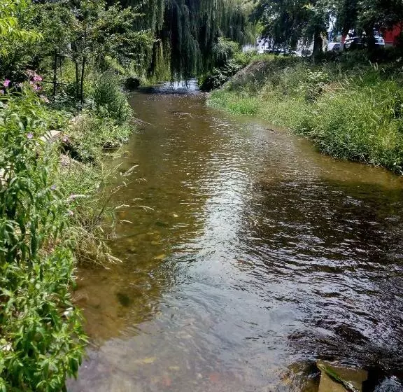 ペンション 2rivers