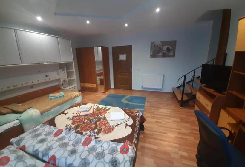 بنسيون 2rivers