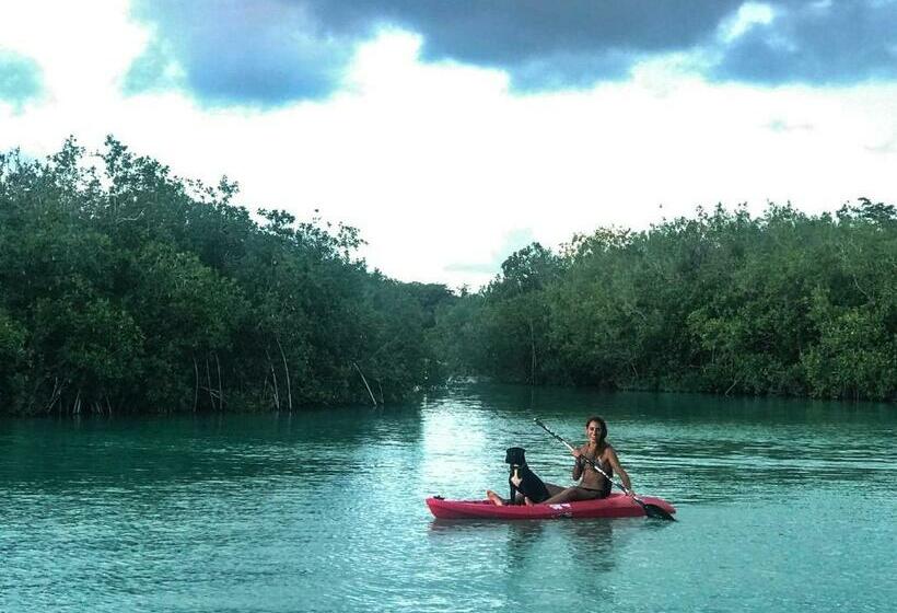 Пансион Guarumbo