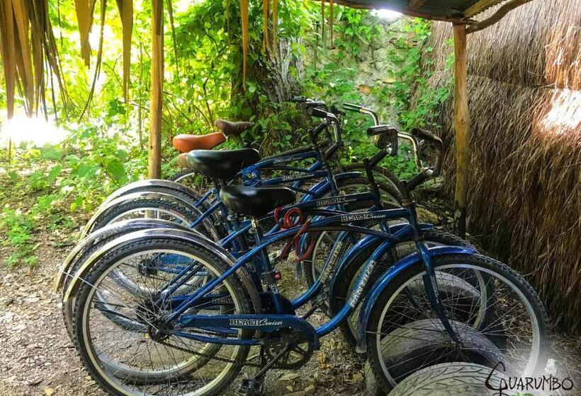 Пансион Guarumbo