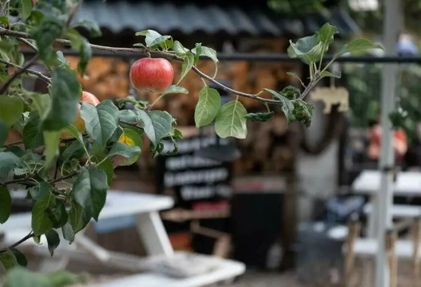 Aamiaismajoitus (B&B) Den Oude Herberg