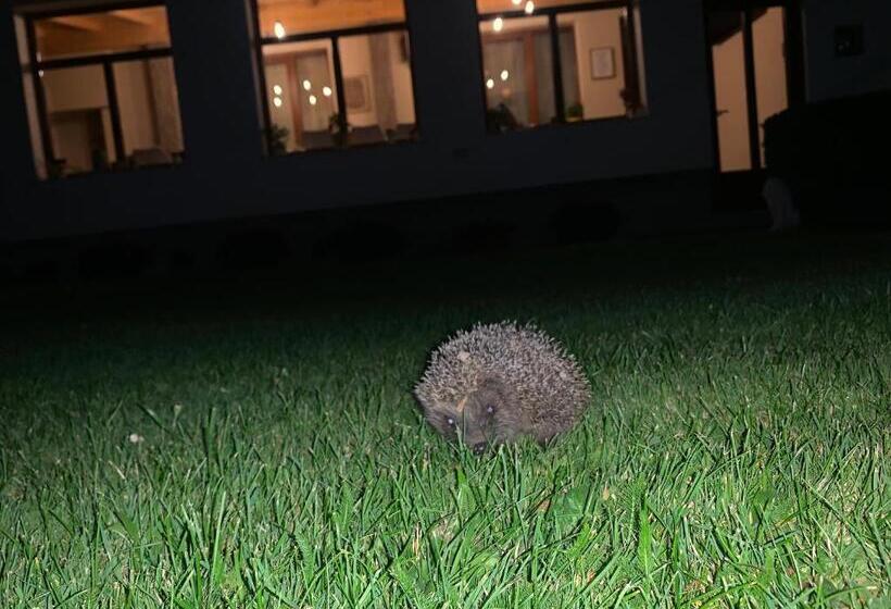 پانسیون Relax88