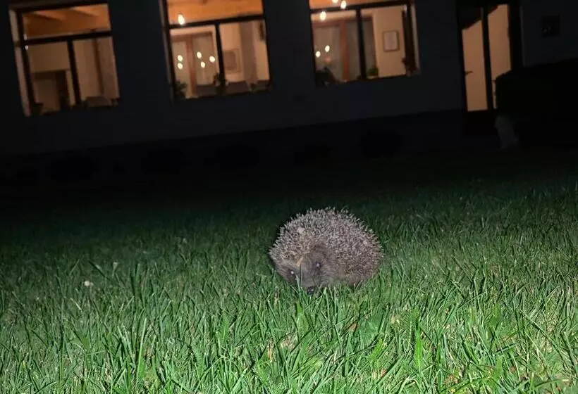 ペンション Relax88