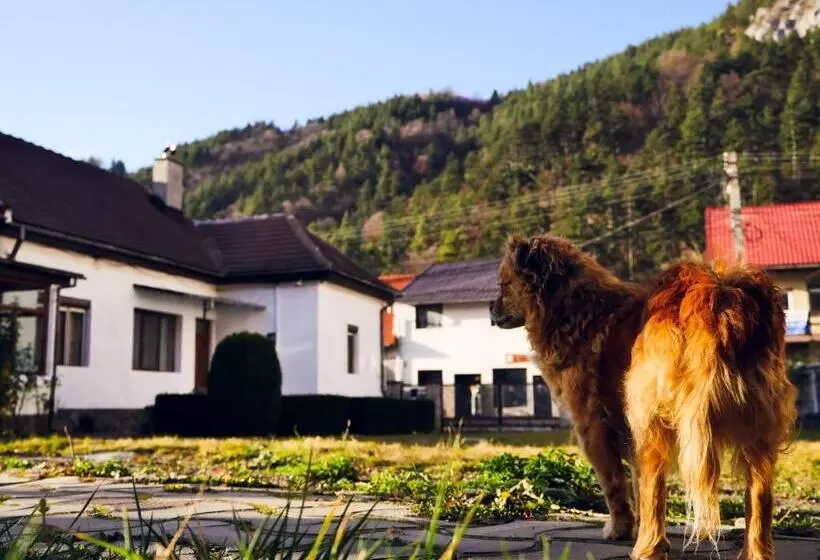 ペンション Relax88