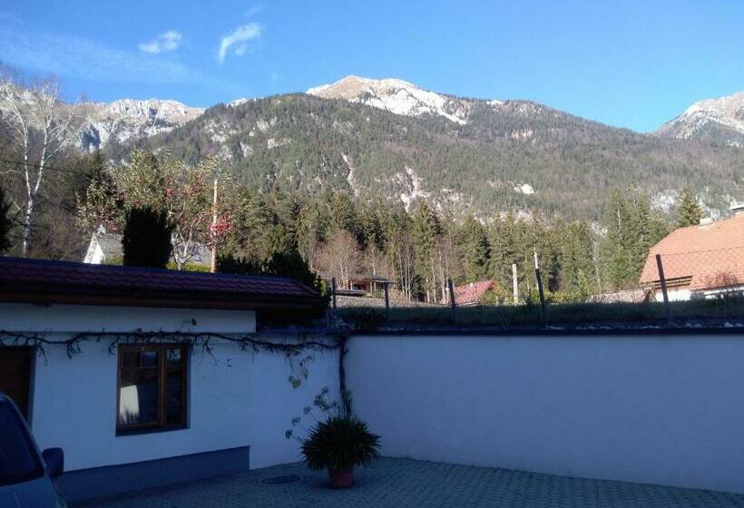 膳宿费 Ruhe Am See