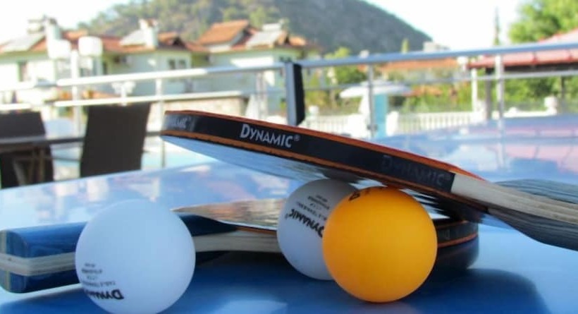 בית מלון כפרי Dalyan Palmiye Resort