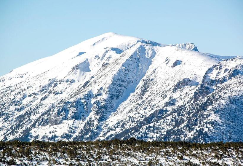 فندق Euphoria Club