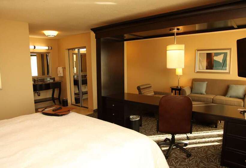 Hotel Hampton Inn & Suites Carlsbad