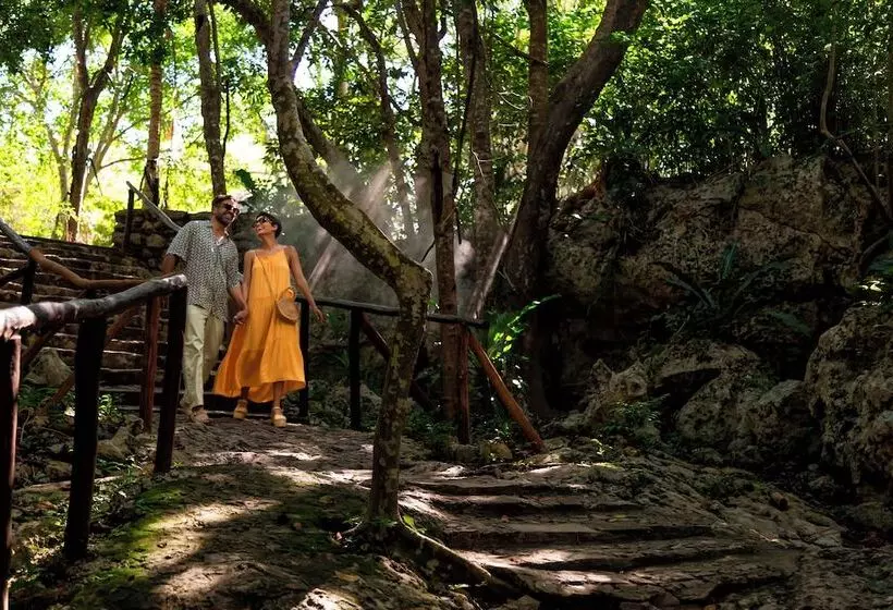 酒店 Paradisus La Perla Adults Only Riviera Maya All Inclusive