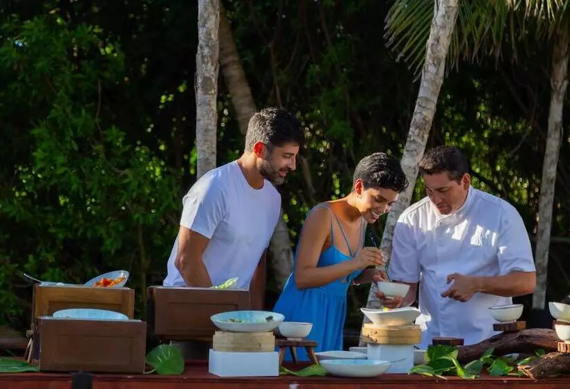 酒店 Paradisus La Perla Adults Only Riviera Maya All Inclusive