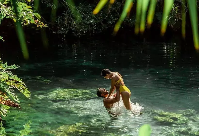 酒店 Paradisus La Perla Adults Only Riviera Maya All Inclusive