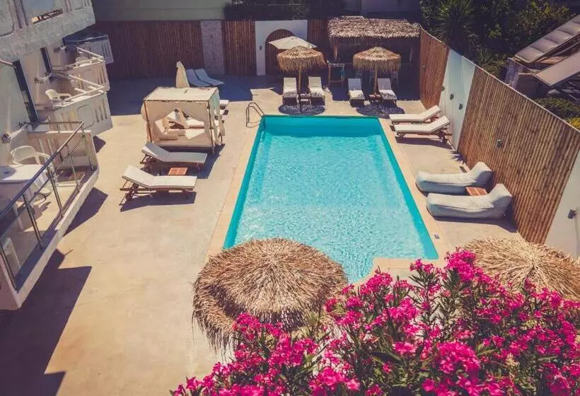 Seagull Hotel And Apartments