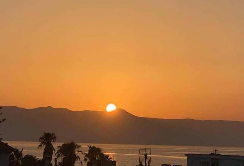 Seagull Hotel And Apartments