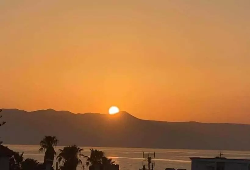 Seagull Hotel And Apartments