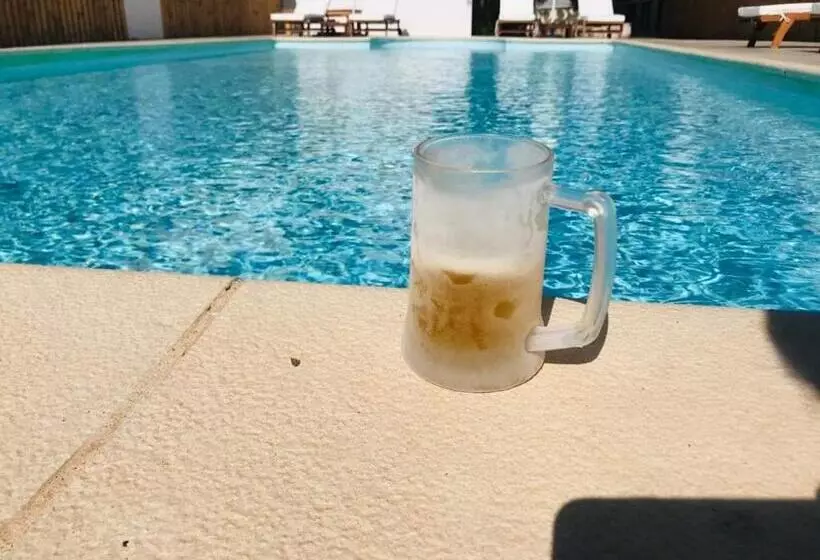 Seagull Hotel And Apartments