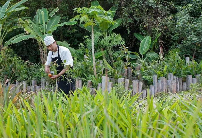 בית מלון כפרי Soneva Kiri