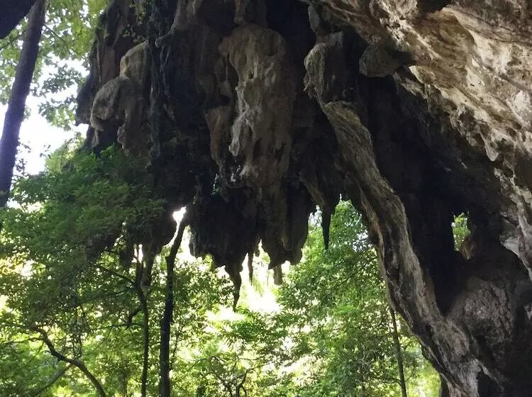 호텔 Wild Orchid Villa Krabi